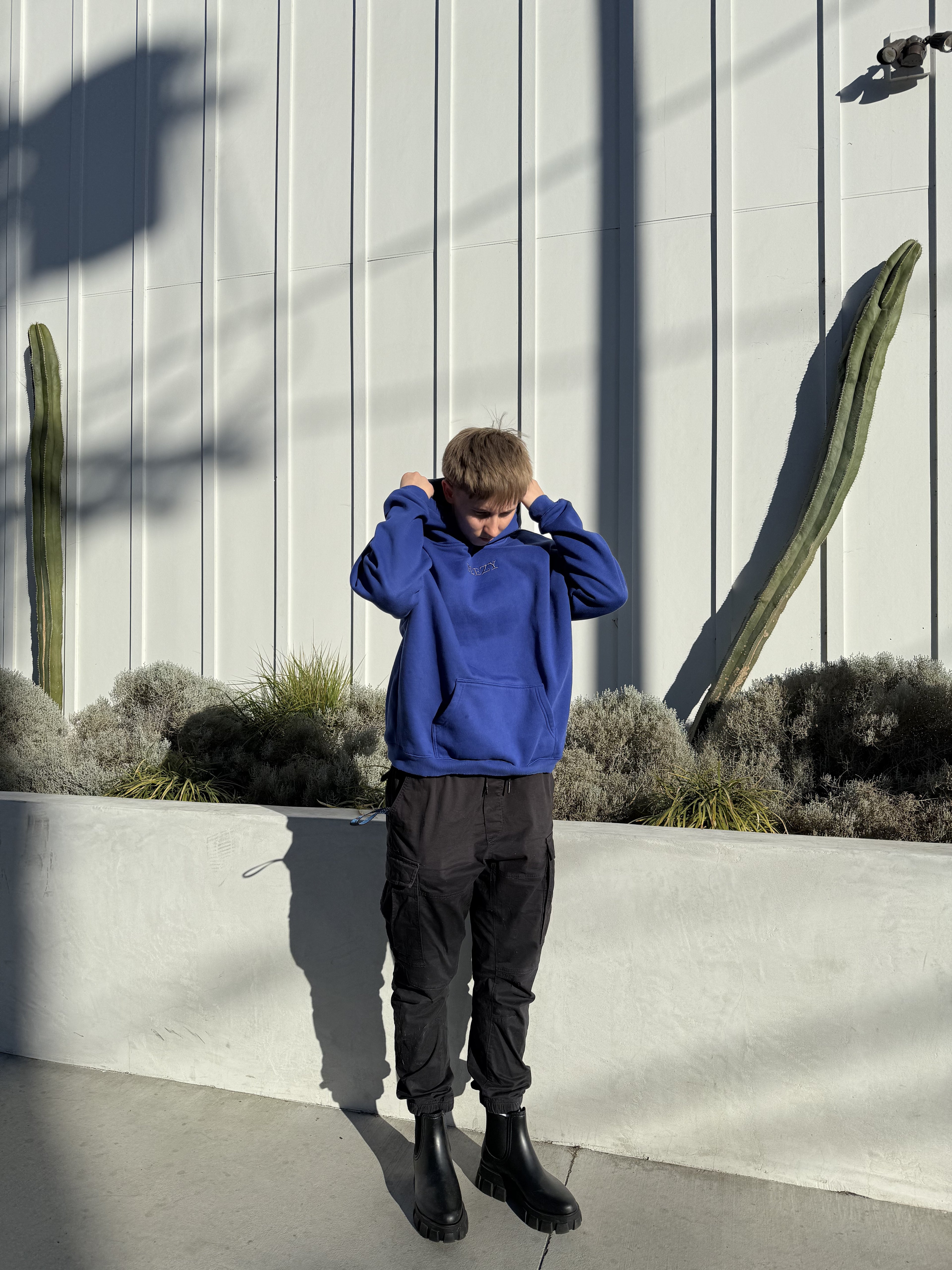 Blue Plain Peezy Heavyweight Hoodie