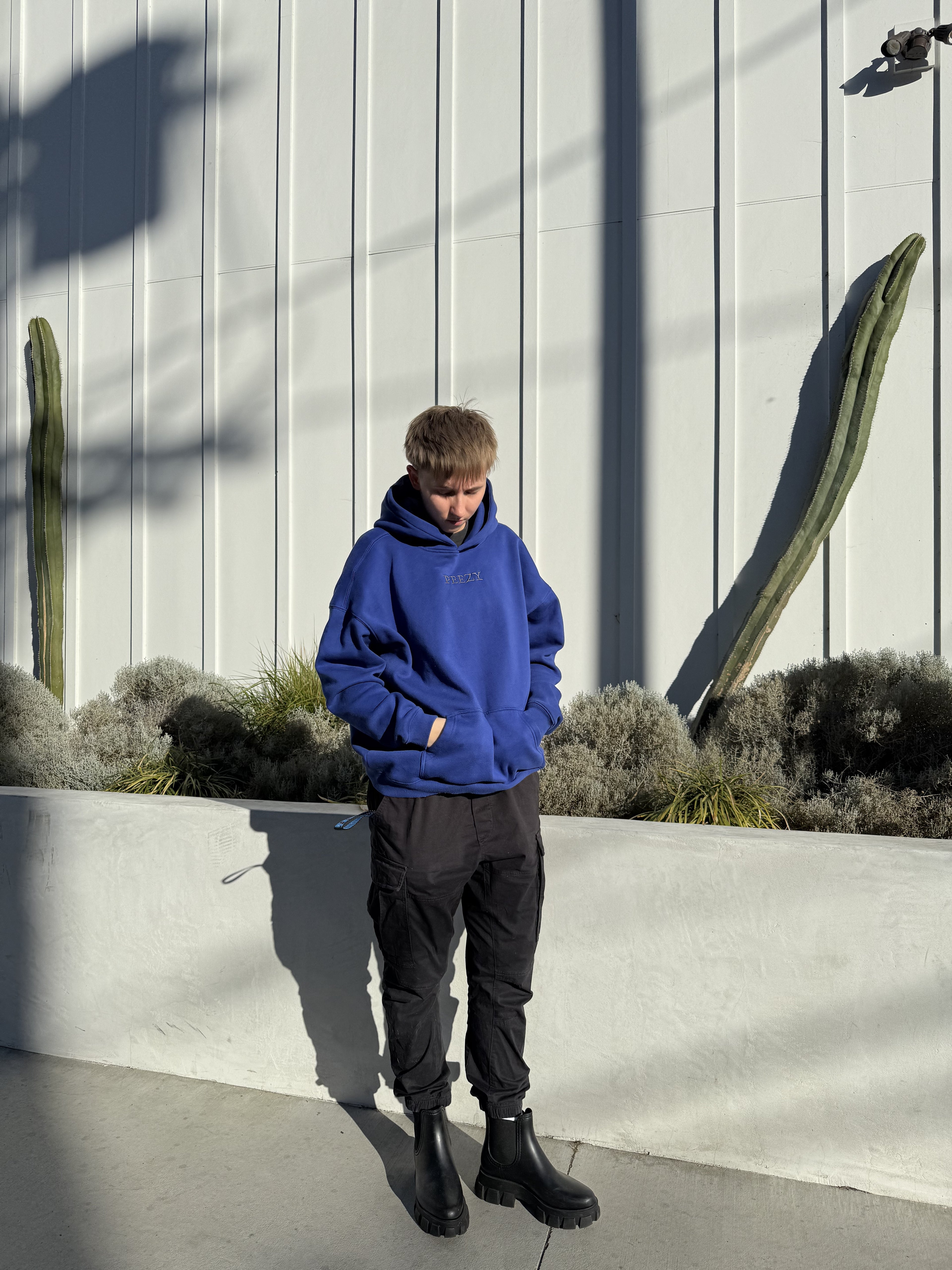 Blue Plain Peezy Heavyweight Hoodie