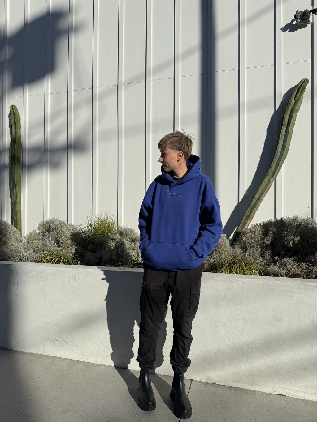 Blue Plain Peezy Heavyweight Hoodie