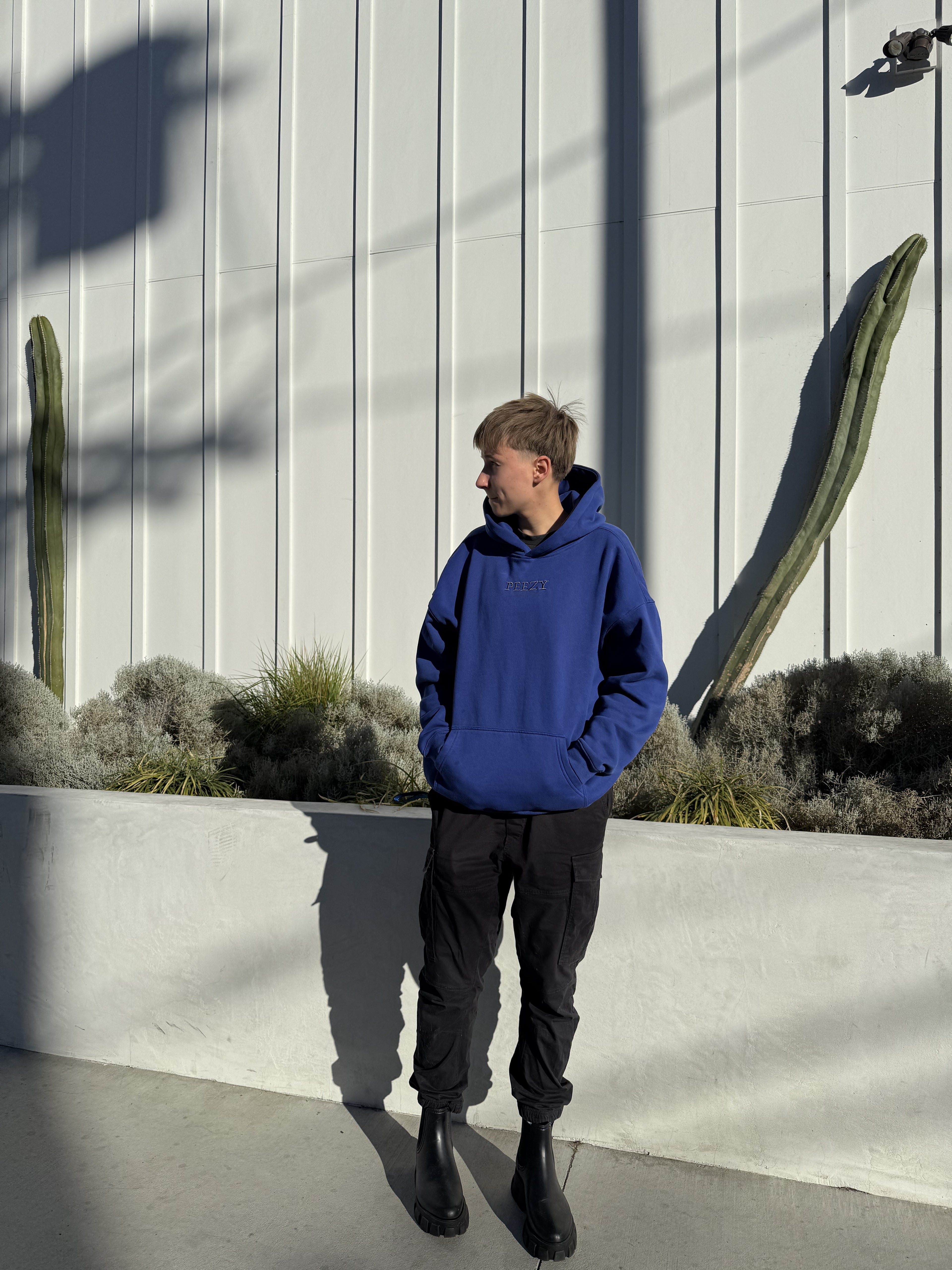 Blue Plain Peezy Heavyweight Hoodie