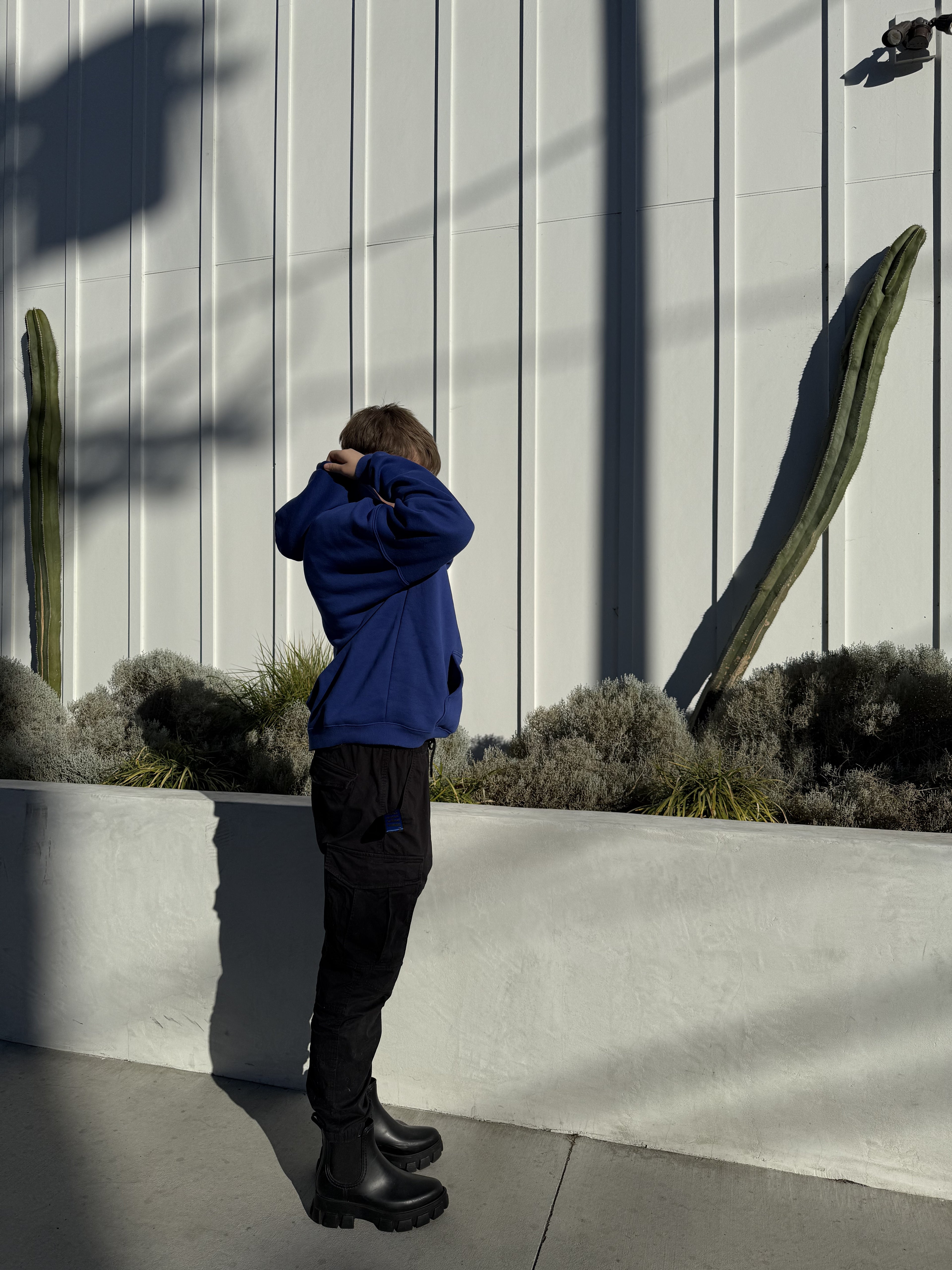 Blue Plain Peezy Heavyweight Hoodie