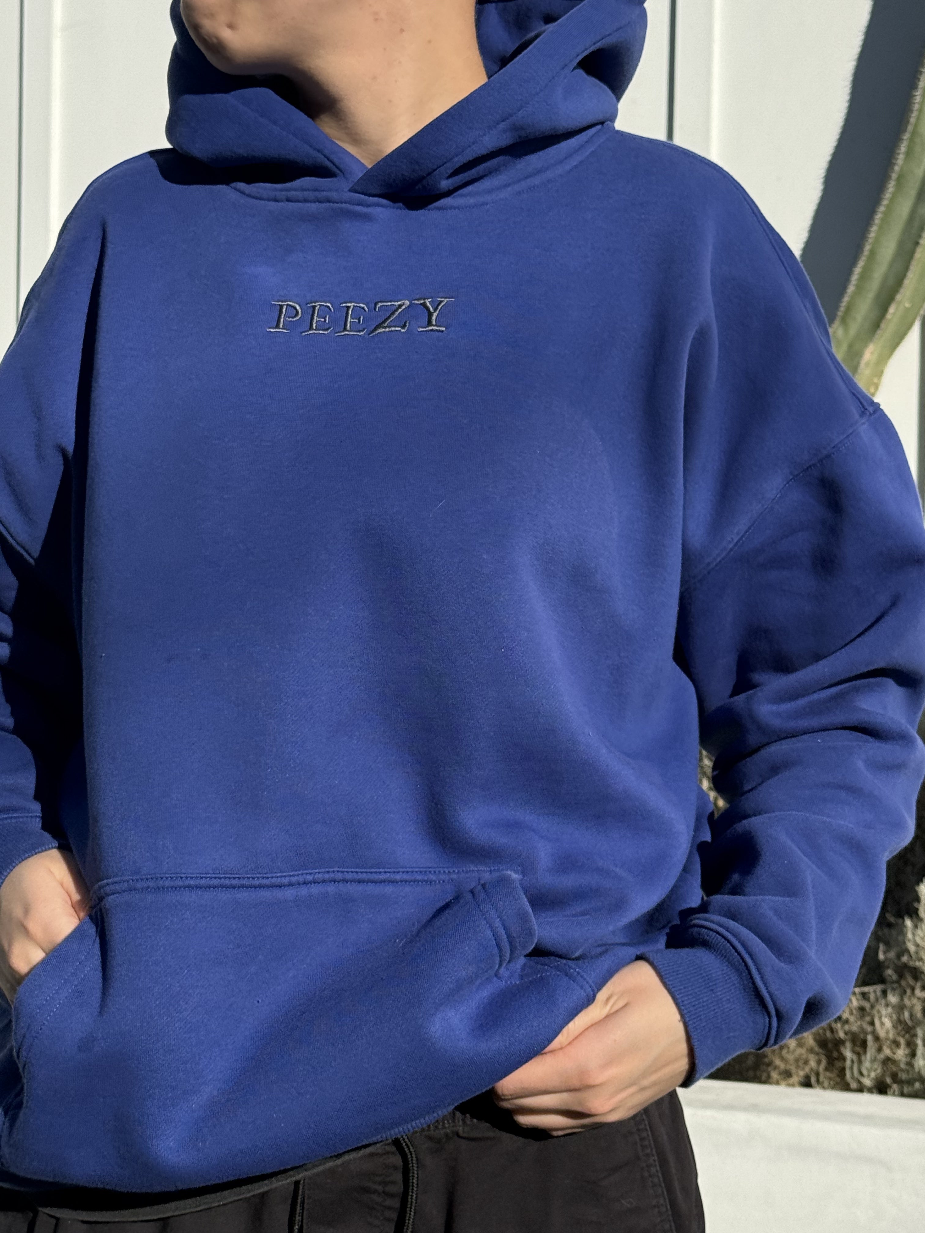 Blue Plain Peezy Heavyweight Hoodie