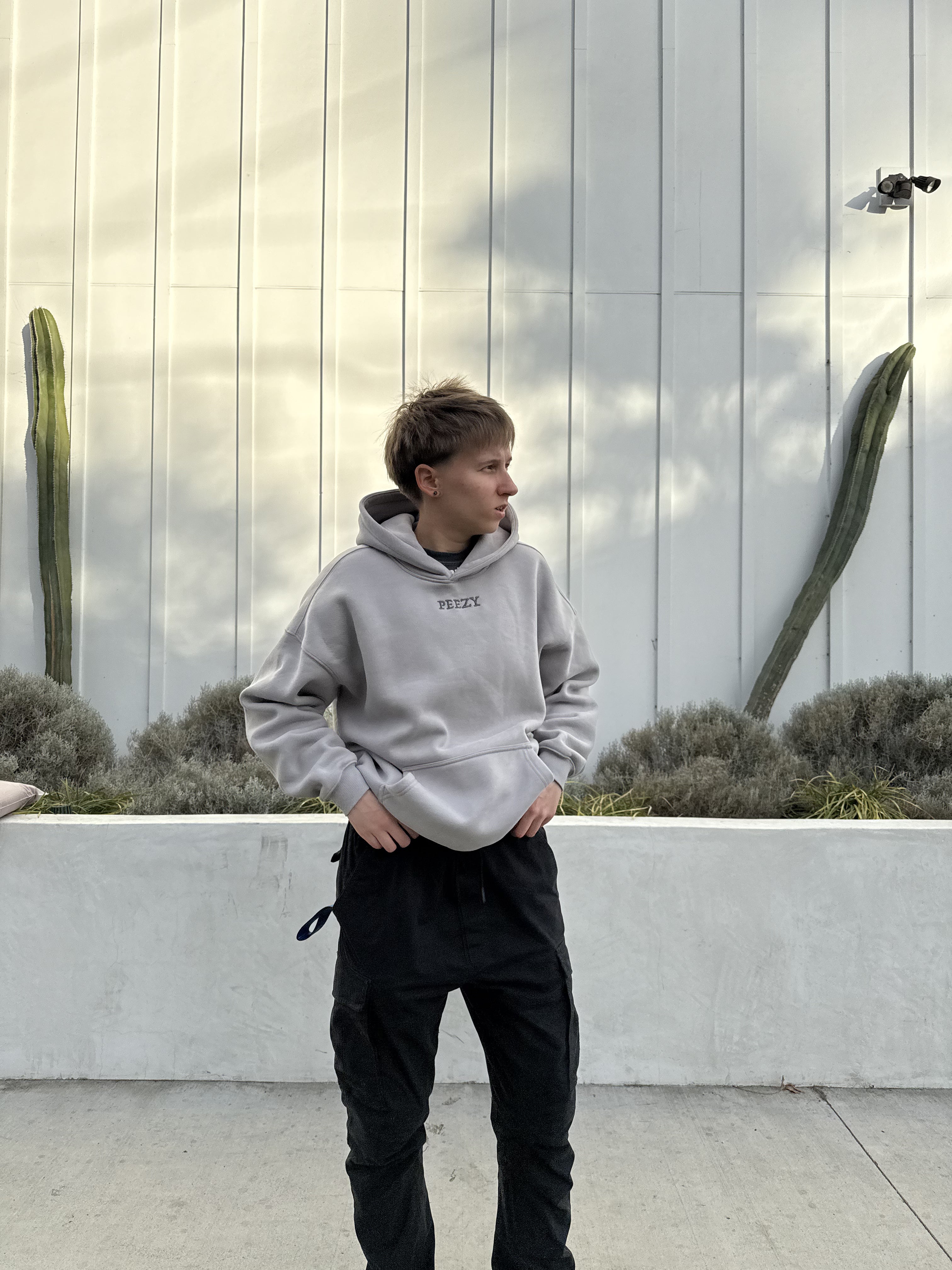 Light Gray Plain Peezy Heavyweight Hoodie